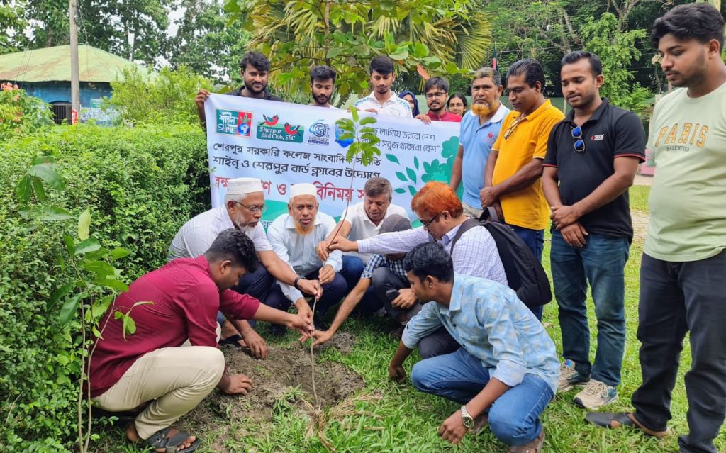 সবুজ ক্যাম্পাস গড়তে শেরপুর সরকারি কলেজ সাংবাদিক সমিতির বৃক্ষরোপণ ও মতবিনিময় সভা