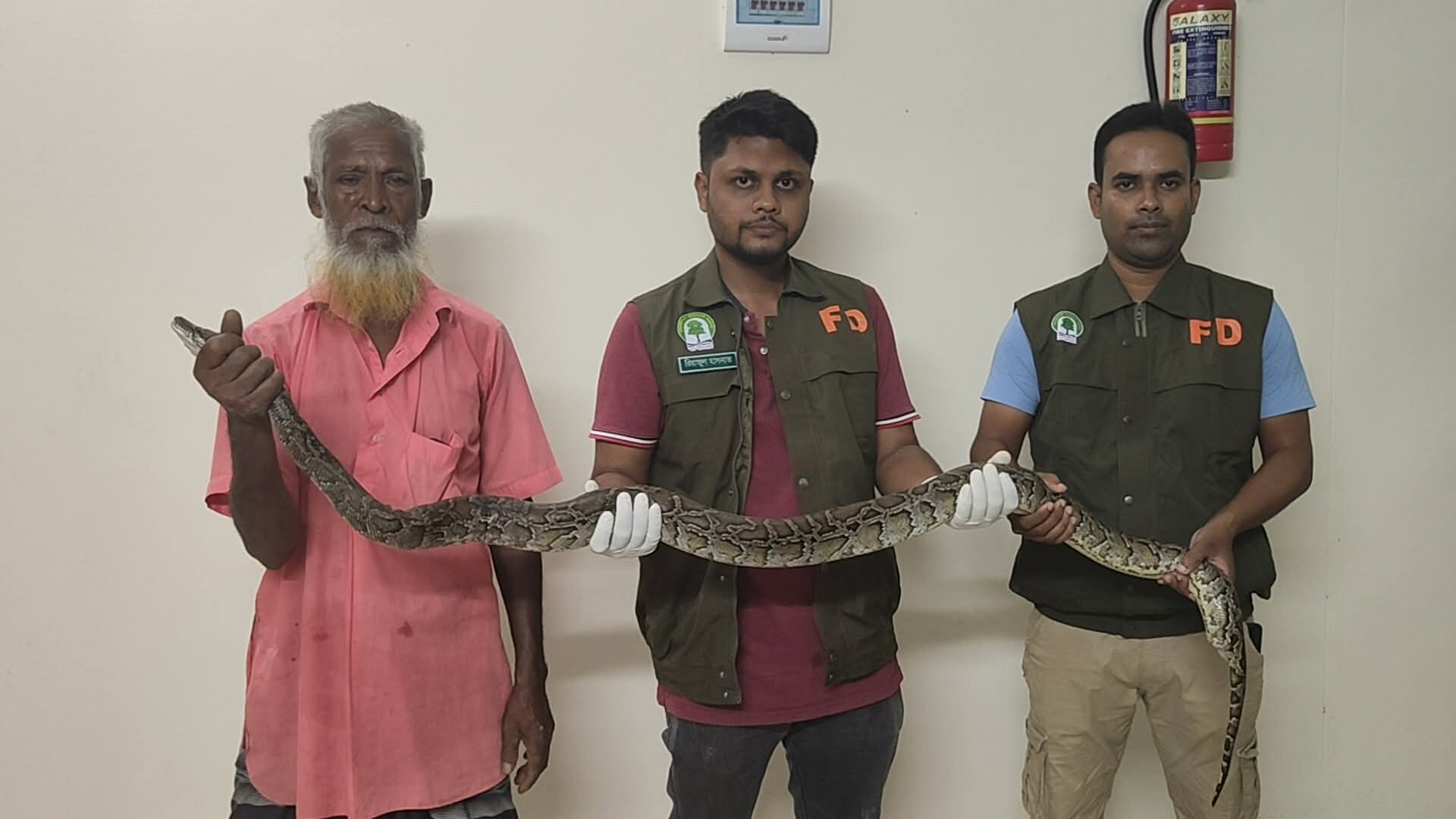 দেবীগঞ্জে অজগর সাপ উদ্ধার, পাঠানো হলো সিংড়া জাতীয় উদ্যানে