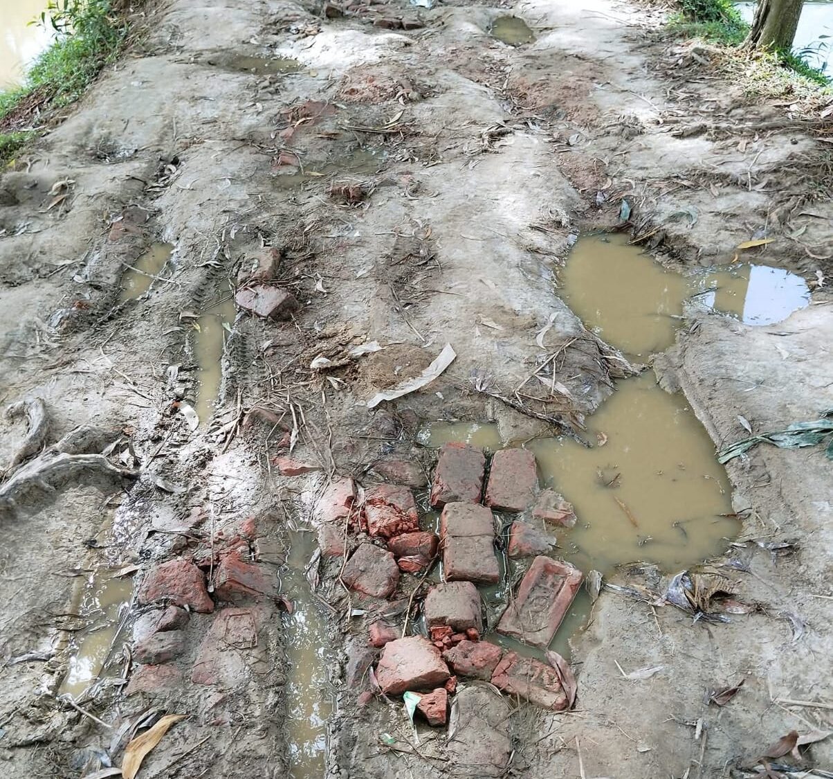 প্রতিশ্রুত উন্নয়নের অপেক্ষায় জমিয়ারগাঁও-বাগমারা: এমপি মজনুর আশ্বাস বাস্তবায়নের দাবি স্থানীয়দের