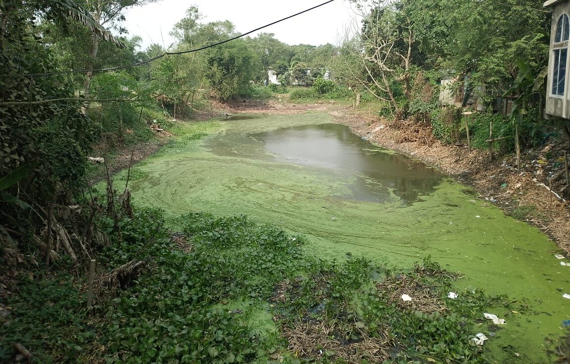 দখল আর দূষণে মৃতপ্রায় বায়েক-চারুয়া খাল: জনজীবনে চরম দুর্ভোগ, নিরুপায় কৃষক