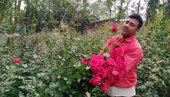 শ্রমিক থেকে উদ্যোক্তা: ফুল চাষেই ভাগ্যের চাকা ঘুরিয়েছেন নাজমুল